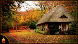 Instrumental Folk Music  Shades of Orange  Emotional Guitar Music [upl. by Adnor982]