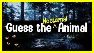 Guess the Animal Sound Game  12 Nocturnal Animal Sounds Quiz [upl. by Alisun998]