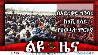 Ethiopian Media Services [upl. by Behl]