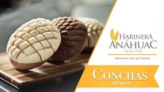 Harinera Anáhuac  Receta Conchas [upl. by Old]