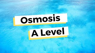 Osmosis  A Level Biology [upl. by Ayekal]