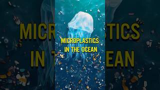 Microplastics In The Ocean [upl. by Arykat]