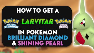 How To Get A Larvitar In Pokemon Brilliant Diamond amp Shining Pearl [upl. by Elletsirhc414]