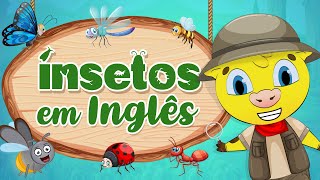 Insetos em Inglês  Nomes de Insetos em Inglês [upl. by Iduj]