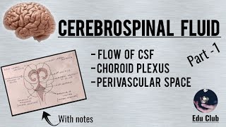 Cerebrospinal Fluid  Part 1 [upl. by Mccreary]