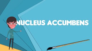 What is Nucleus accumbens Explain Nucleus accumbens Define Nucleus accumbens [upl. by Asilet303]