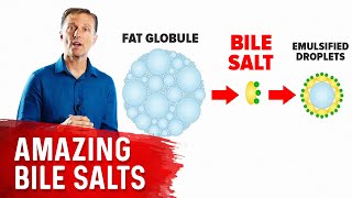 The 9 Benefits of Bile Salts [upl. by Natsirhc935]