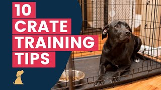 Crate Training Tips  10 Hacks To Help Your New Puppy Love The Crate [upl. by Bang]