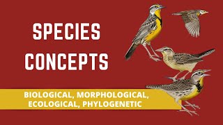 SPECIES CONCEPTS BIOLOGICAL MORPHOLOGICAL ECOLOGICAL PHYLOGENETIC [upl. by Enitsirt]