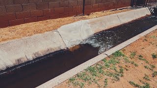 Flood Irrigation Day  amp how this watering method works [upl. by Doti49]