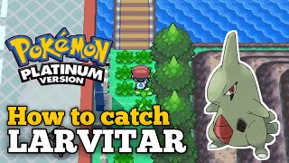 How to catch LARVITAR in Pokemon Platinum [upl. by Euqinaj]