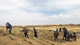 Fighting Desertification and Boosting Incomes in Ningxia [upl. by Issy515]