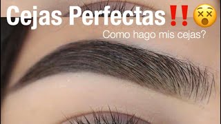 Cejas Perfectas Facil Paso a Paso  Monika Sanchez [upl. by Dusen]