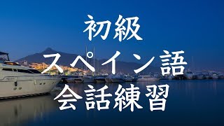 初級スペイン語会話トレーニング200  基本フレーズ聞き流し [upl. by Enidlareg699]