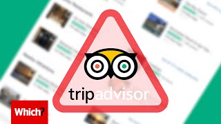 TripAdvisor’s fake hotel reviews  Which [upl. by Apple357]