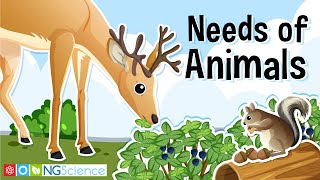 What do animals need to live grow and stay healthy [upl. by Ailekat]