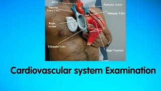 Clinical Examination of Cardiovascular system JVP  Auscultation [upl. by Eeluj]