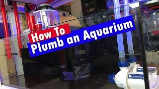 How to Plumb an Aquarium Tank and Sump  Reef tank plumbing [upl. by Westerfield422]