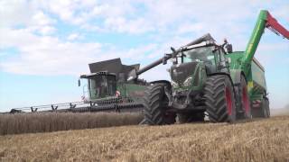 Erntezeit auf Rügen  Ein Marktfruchtbetrieb mit 1800 Hektar  Fendt [upl. by Eelibuj]