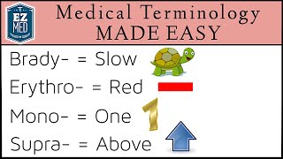 Medical Terminology Common Prefixes and Suffixes [upl. by Roby]