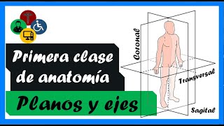 PRIMERA clase de ANATOMIA  PLANOS Y EJES anatómicos [upl. by Amoihc]