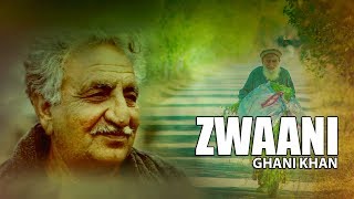 Ghani Khan Ghazal  Na Ba Tool Umar Zwaani We by Moiz Khan [upl. by Nitsud475]