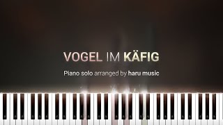 Vogel im Käfig  Synthesia Piano Tutorial [upl. by Anhsirk537]