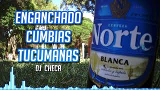 CUMBIAS TUCUMANAS  ENGANCHADO FIESTERO  ORIGINALES  DJ CHECA [upl. by Ainivad]