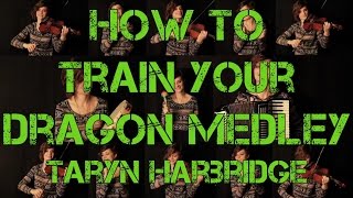 How to Train Your Dragon Medley  Taryn Harbridge [upl. by Amandi]