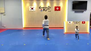 Taekwondo Poomsae 1 Taegeuk 1 Jang with Description [upl. by Onurb]