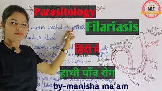 Filariasis हाथीपाँव  wuchereria bancrofti  Microfilaria  Mlt Lecture  Parasitology [upl. by Cristoforo]