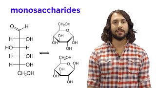 Carbohydrates Part 1 Simple Sugars and Fischer Projections [upl. by Ketti624]