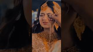 music song newsong cover love latestweddingsong newmusicrelease wedding preweddingcoversong [upl. by Ahsekram]