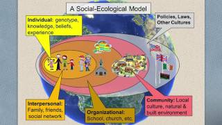 What is Community Health [upl. by Feledy810]