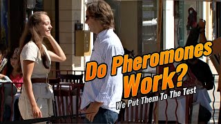 Do Pheromones Really Work [upl. by Goldshlag]