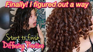 HOW TO DIFFUSE CURLY HAIR WITH NO FRIZZ AND CURL DEFINITION  Styling to Diffusing [upl. by Latona]