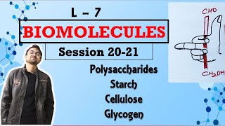 Biomolecules  Polysaccharides  Starch Cellulose Glycogen  L  7  JEE NEET Class 12  Chapter 14 [upl. by Enilrae257]