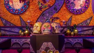 Día De Muertos Una Celebración De Vida [upl. by Aenyl]