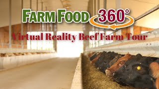 FarmFood360° Virtual Reality Beef Farm Tour [upl. by Chavaree771]