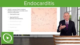 Endocarditis Definition Pathology Classification amp Diagnosis – Infectious Diseases  Lecturio [upl. by Enahsal]