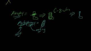 3  Introduction to Pathology  Atrophy Metaplasia [upl. by Sussi]