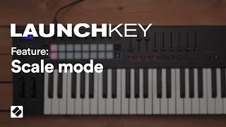 Launchkey MK3  Scale Mode  Novation [upl. by Lletnuahs]