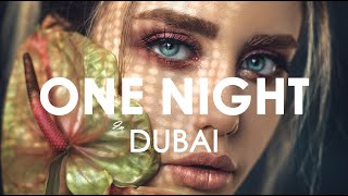 Arash feat Helena  One Night In Dubai Creative Ades Remix [upl. by Halihs]